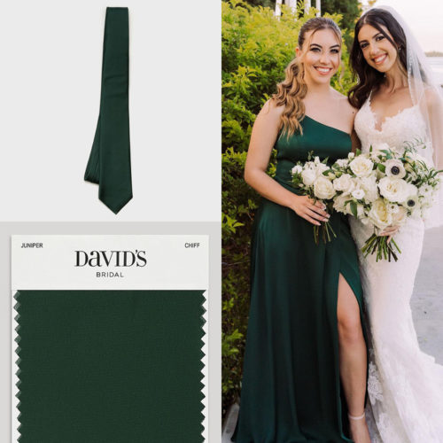 Bridal Party Color Coordination Guide David S Bridal Blog