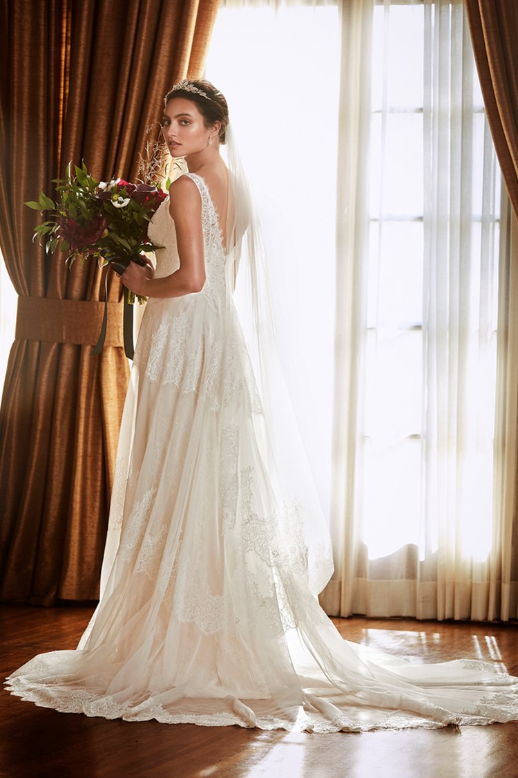 Wedding Dress and Matching Veils from David's Bridal