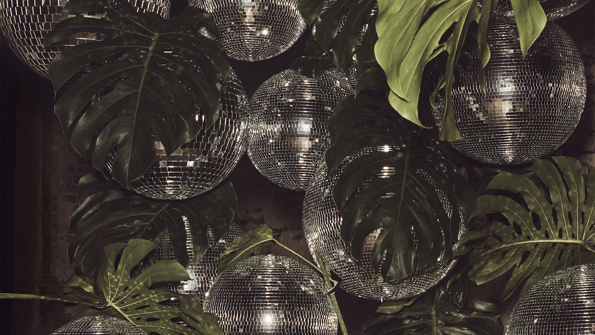 Disco Balls and Palm Leaves Virtual Zoom Background
