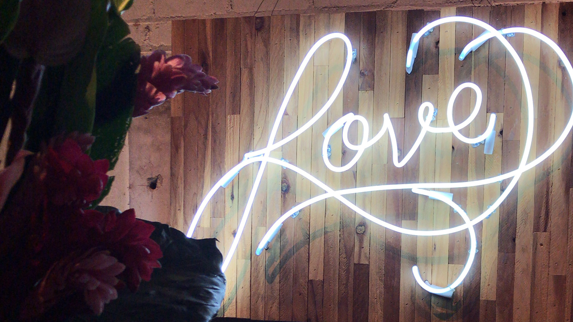 Neon Love Sign Virtual Zoom Background