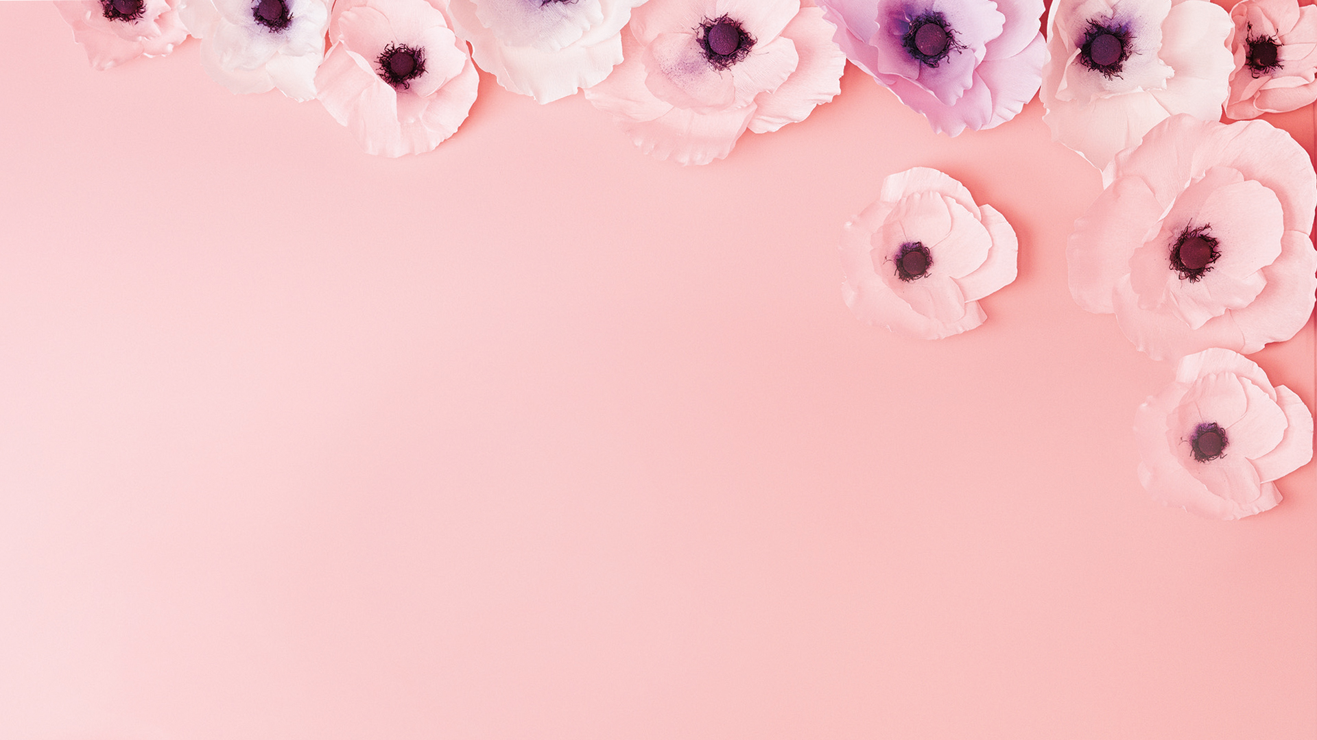 89 Background Pink Zoom For FREE - MyWeb